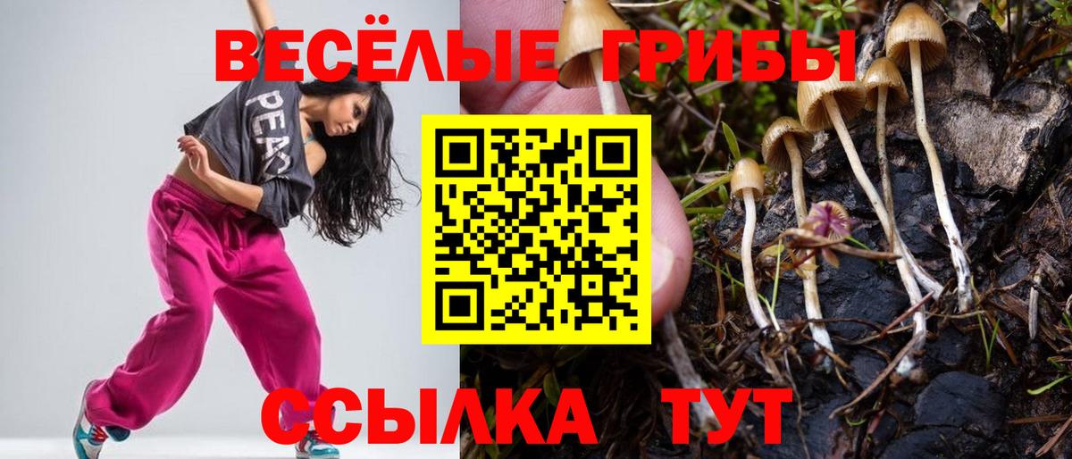 Галлюциногенные грибы ЛСД  Вход с VPN  наркотики  Ессентуки 