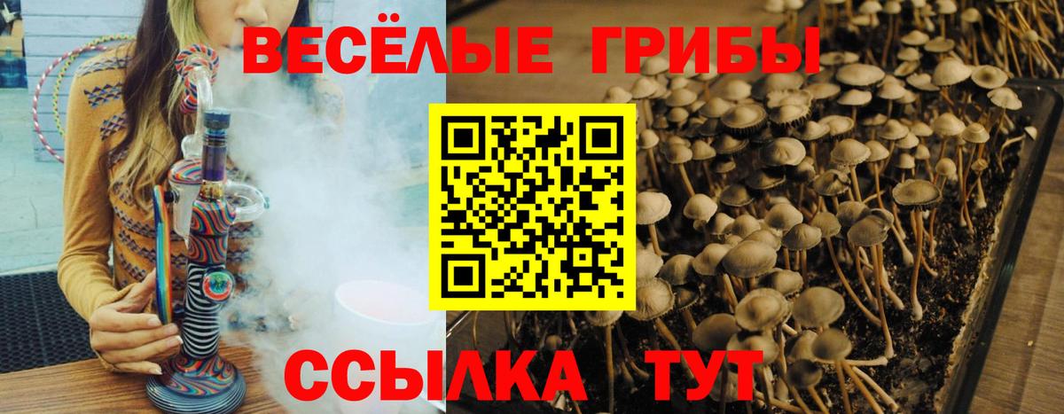 Псилоцибиновые грибы Magic Shrooms Ессентуки
